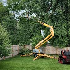 Best Tree Trimming and Pruning  in Kelseyville, CA