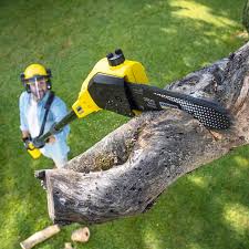 Pest Control for Lawns in Kelseyville, CA