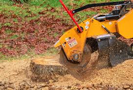 Best Lawn Renovation and Restoration  in Kelseyville, CA