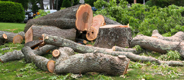 Best Utility Line Clearance  in Kelseyville, CA